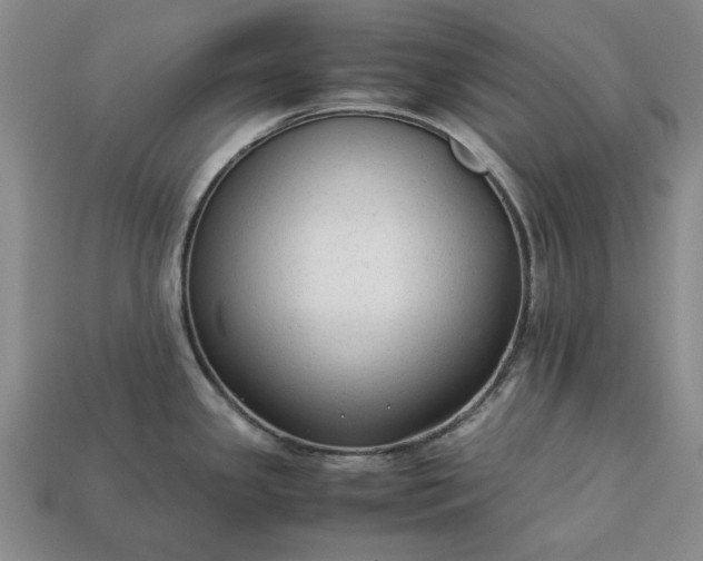 X0000113261341200909241514