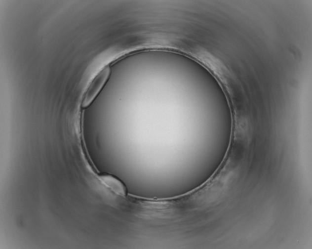 X0000113261342200909241514