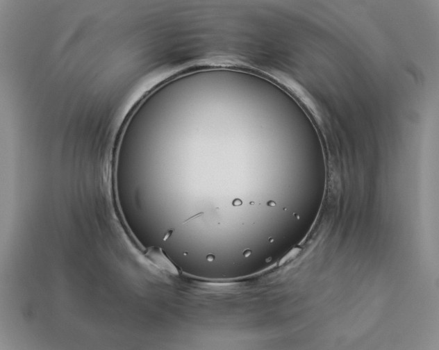 X0000113261343200909241514