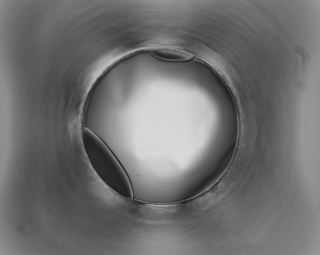 X0000113261344200909241514