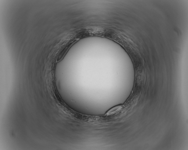 X0000113261345200909241514