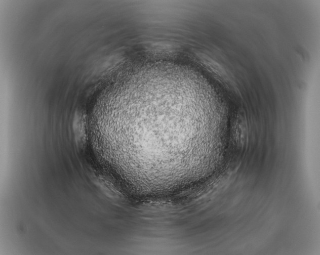 X0000113261346200909241514