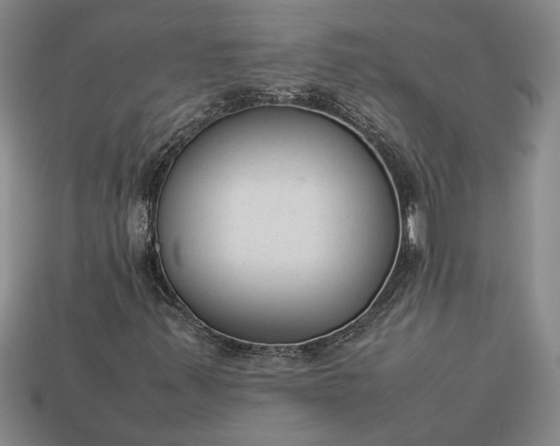 X0000113261347200909241514