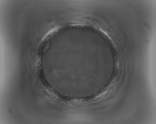 X0000113261351200909241514