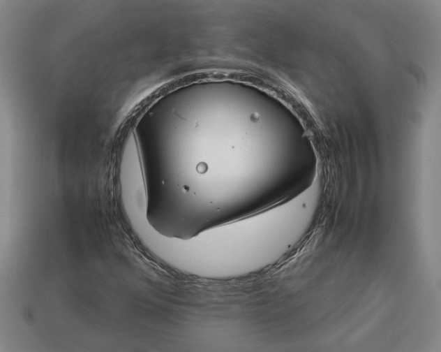 X0000113261352200909241514