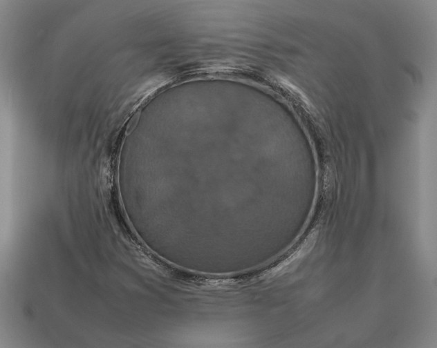 X0000113261353200909241514