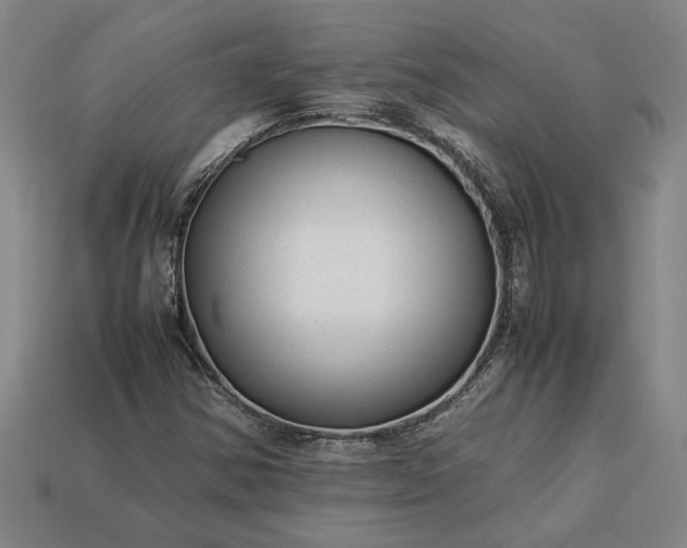 X0000113261354200909241514