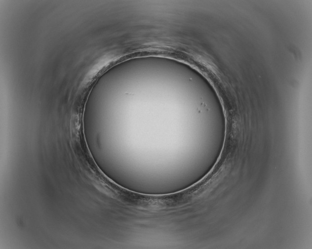 X0000113261355200909241514