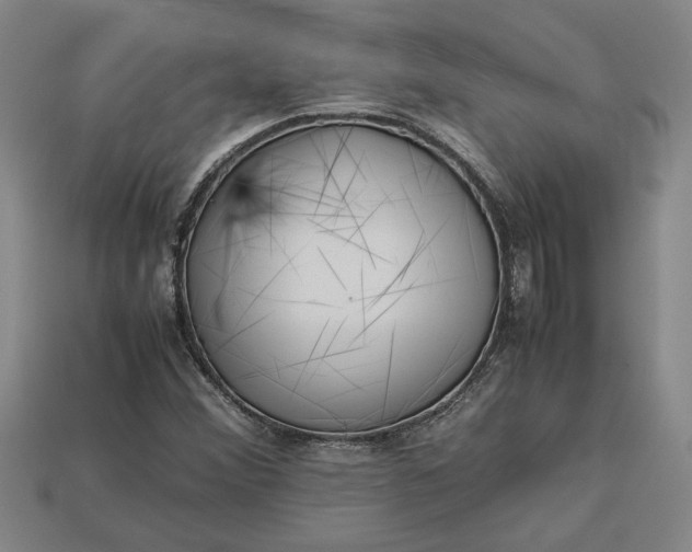 X0000113261356200909241513