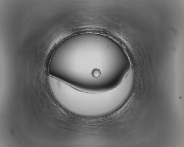 X0000113261357200909241513