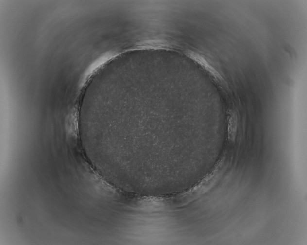 X0000113261358200909241513