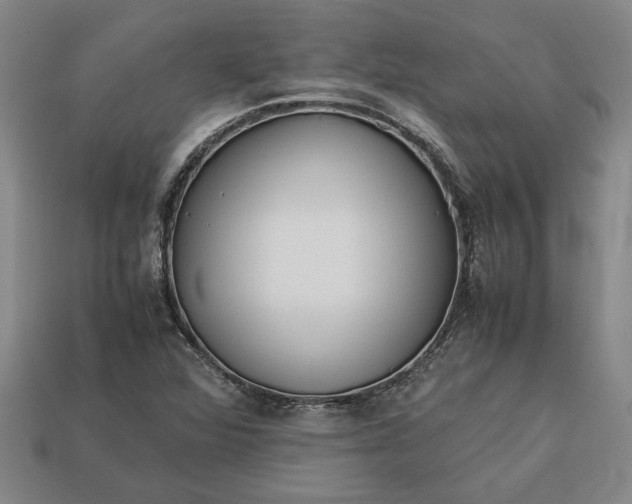 X0000113261360200909241513