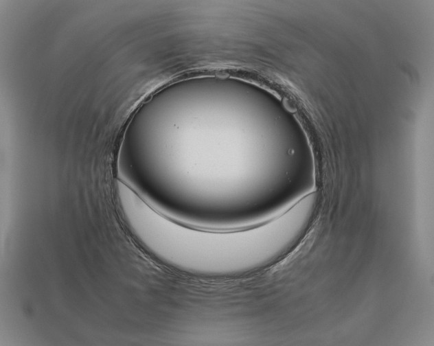 X0000113261361200909241513