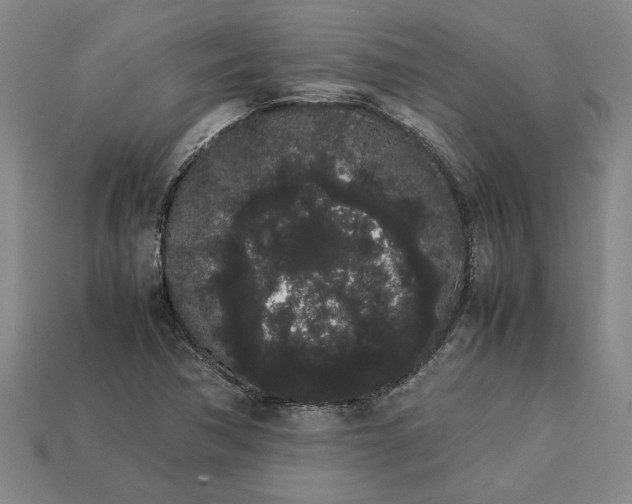 X0000113261362200909241513