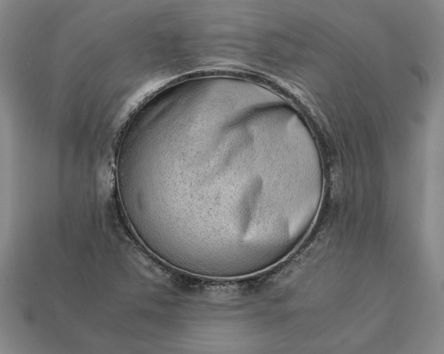 X0000113261363200909241513