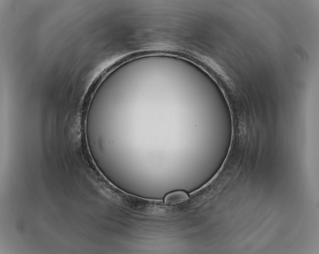 X0000113261364200909241513