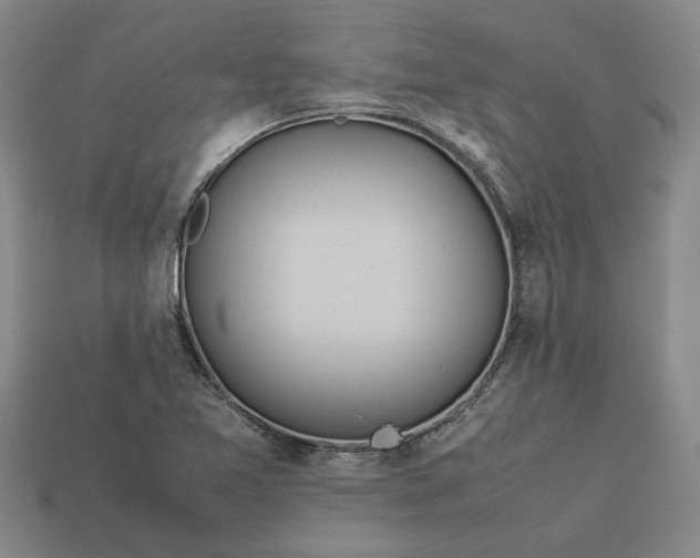 X0000113261365200909241513