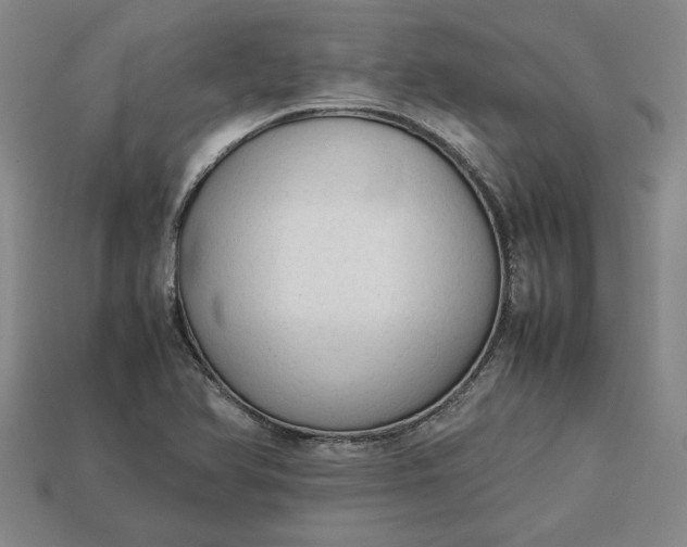 X0000113261366200909241513