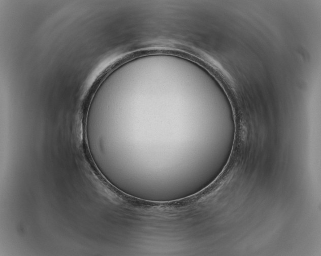 X0000113261368200909241513