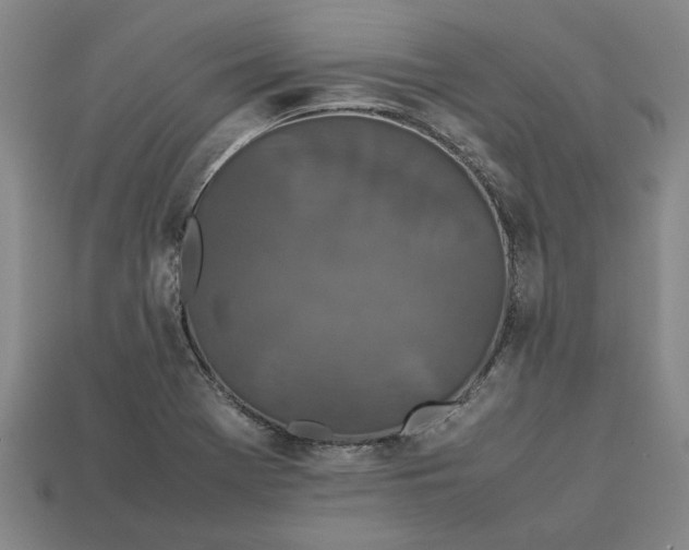 X0000113261369200909241513