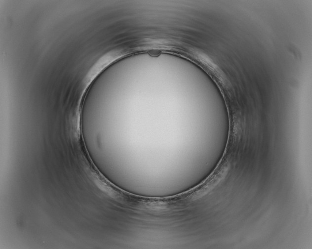 X0000113261370200909241513