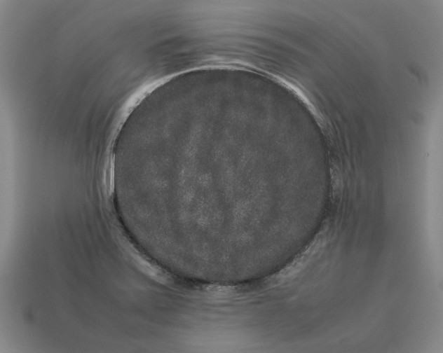 X0000113261371200909241513