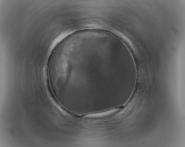 X0000113261373200909241513