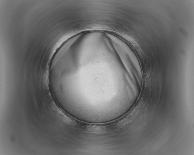 X0000113261374200909241513