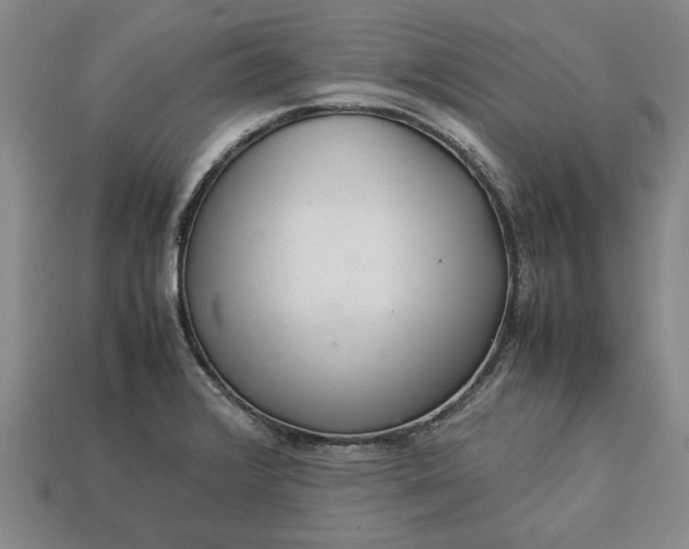 X0000113261376200909241513