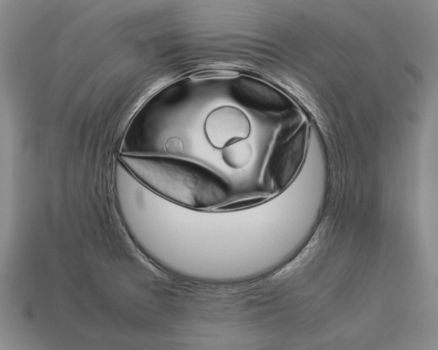 X0000113261377200909241513