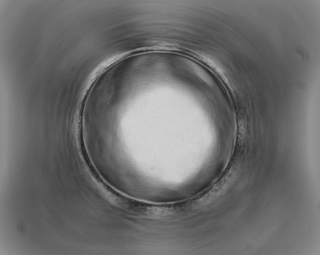 X0000113261379200909241513