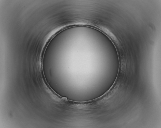 X0000113261380200909241513