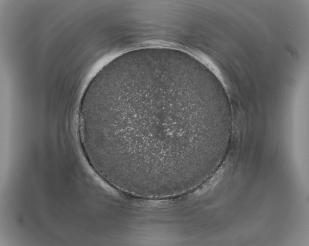 X0000113261381200909241513