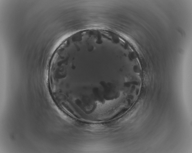 X0000113261383200909241513