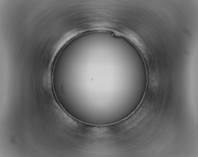 X0000113261384200909241513