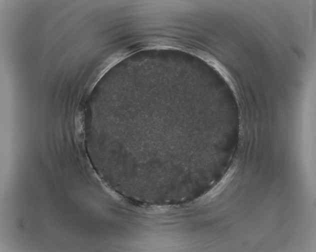 X0000113261385200909241513