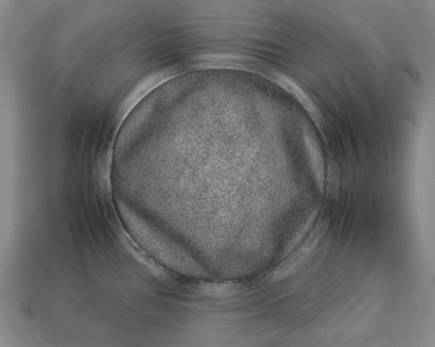 X0000113261386200909241513