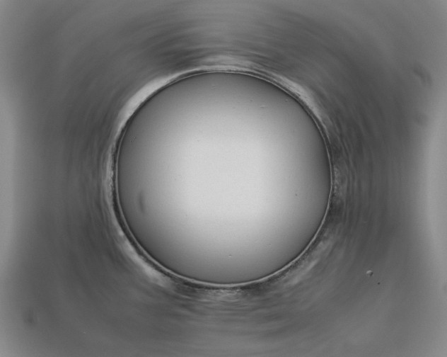 X0000113261387200909241513