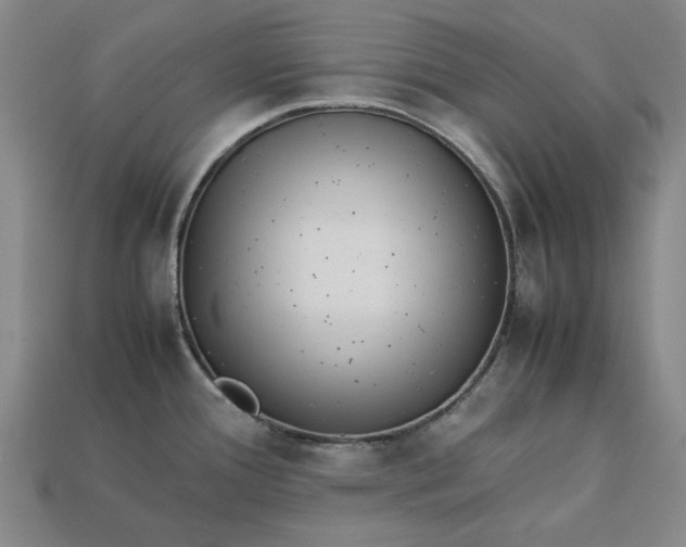 X0000113261388200909241513