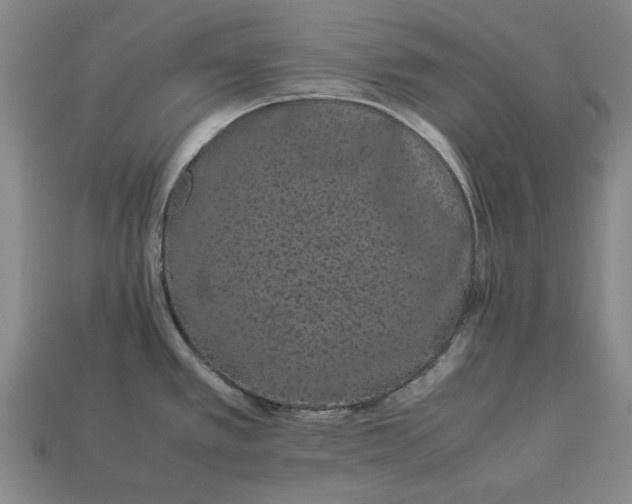 X0000113261389200909241513