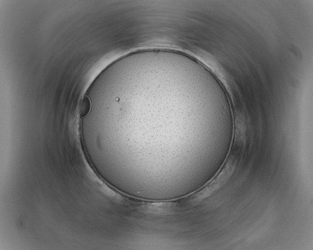 X0000113261390200909241513