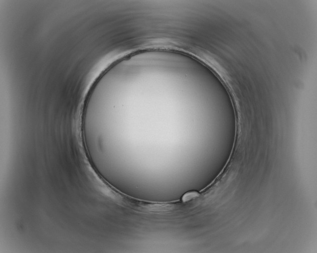 X0000113261392200909241513