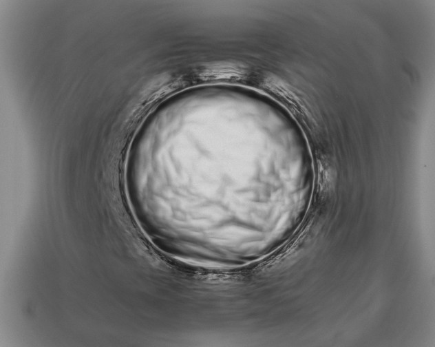 X0000113261393200909241512