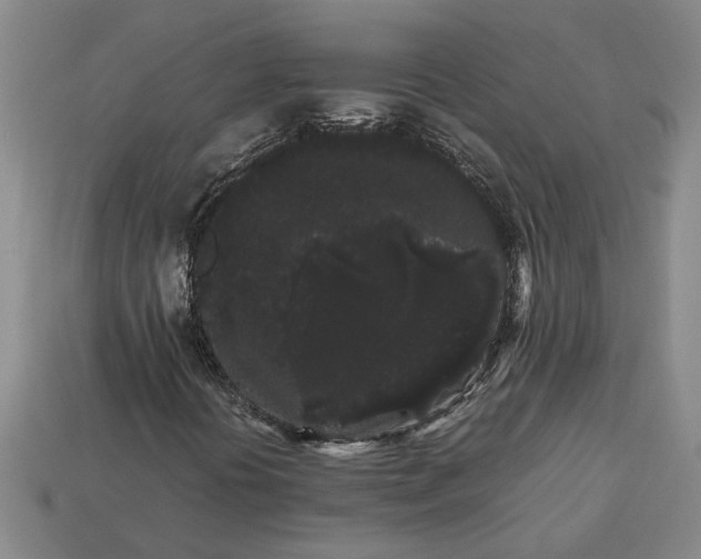 X0000113261394200909241512