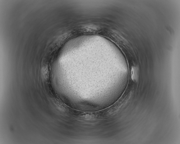 X0000113261395200909241512