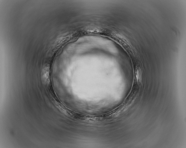 X0000113261396200909241512