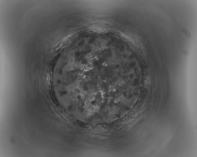 X0000113261397200909241512