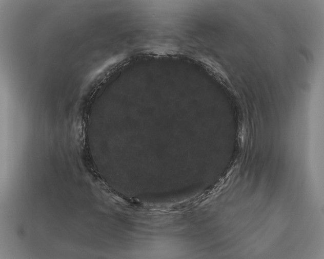 X0000113261398200909241512