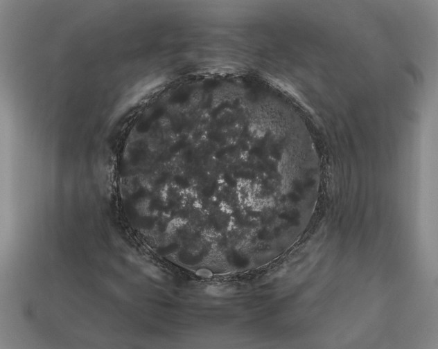 X0000113261399200909241512