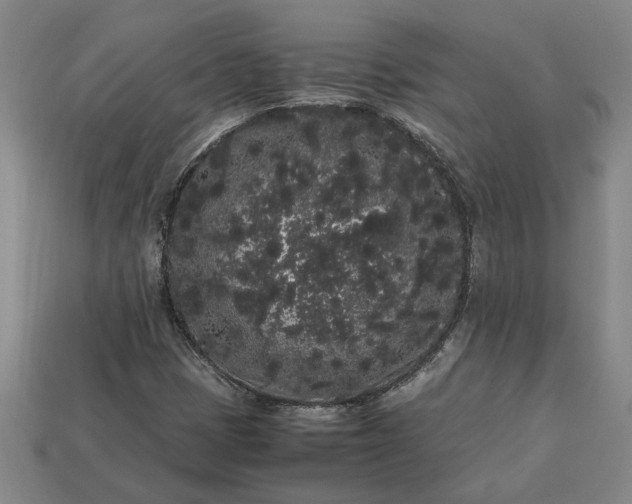 X0000113261401200909241513